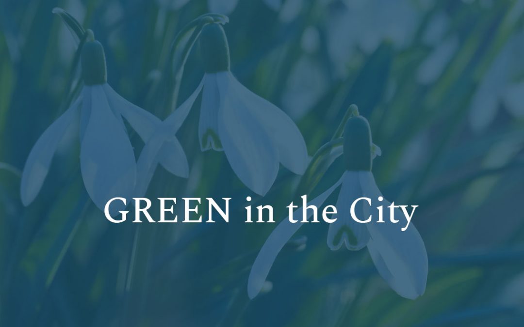 GREEN in the CITY