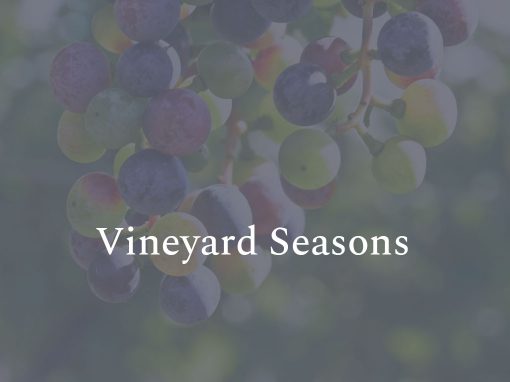 Vineyard Seasons